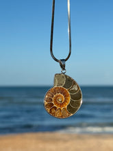 Load image into Gallery viewer, Ammonite Pendant Necklace
