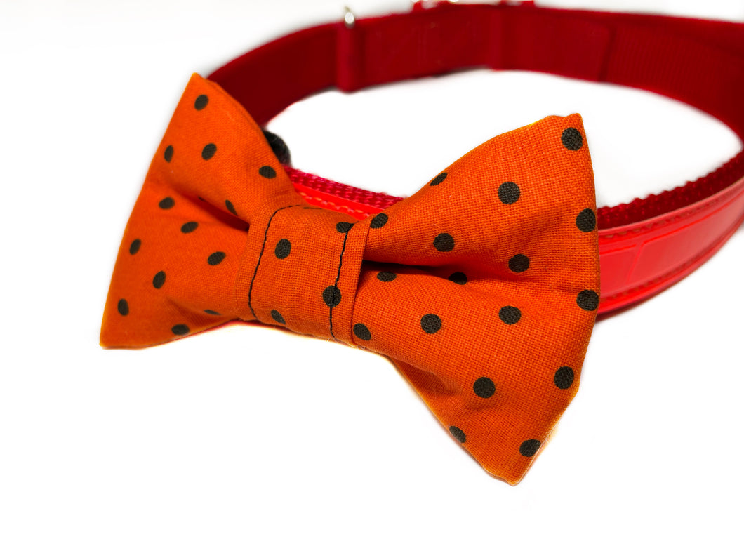 Black and Orange Dog Bow Tie